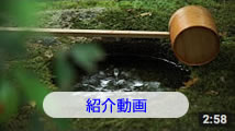 新緑茶会紹介動画